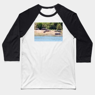 Hippo Family in Kruger National Park - South Africa Baseball T-Shirt